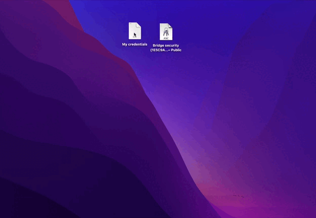 Screen_Recording_2022-03-25_at_23.09.59.gif